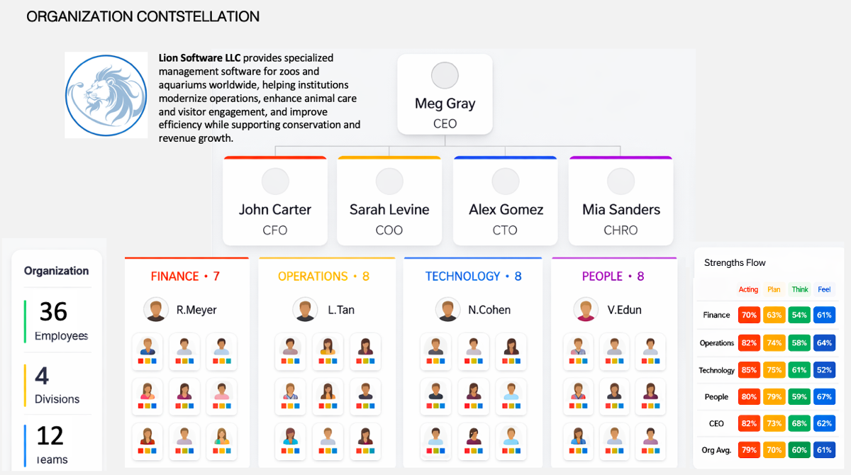 Organization Constellation talent map