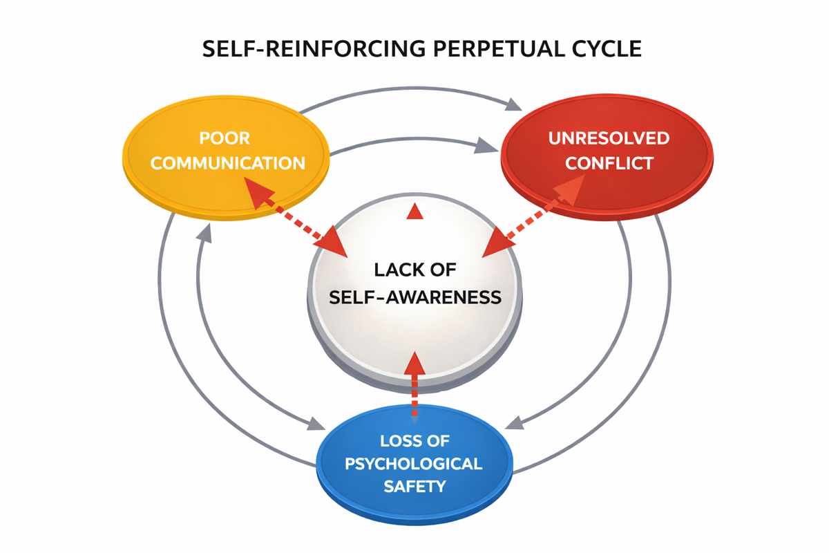 Self-Awareness Gap diagram